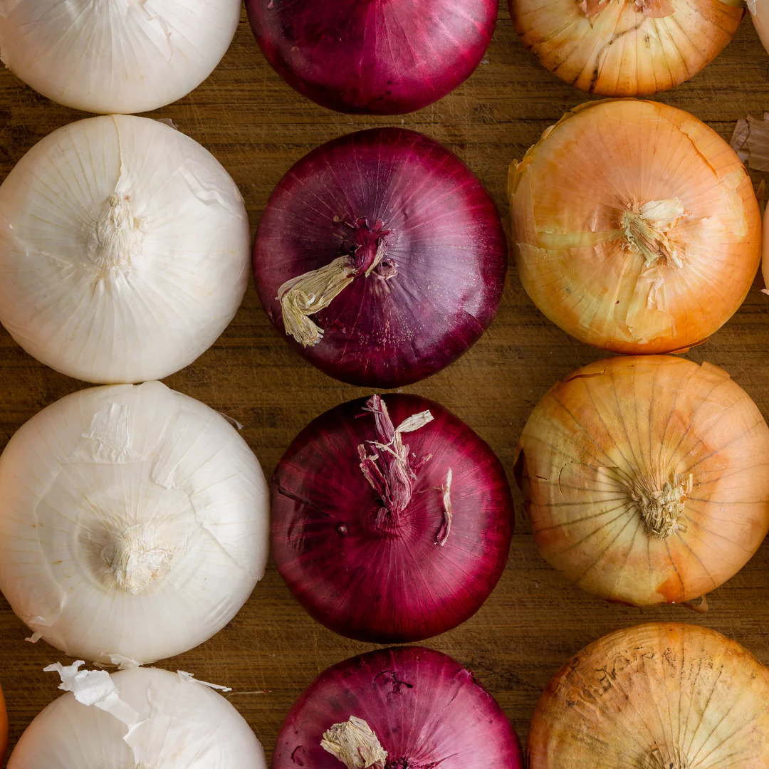 Short Day Onion Plants